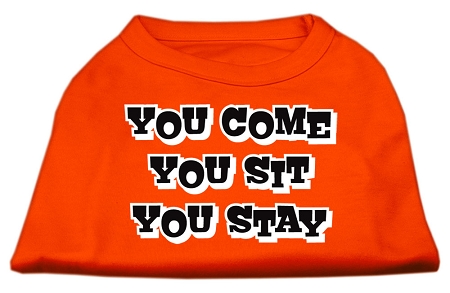 You Come, You Sit, You Stay Screen Print Shirts Orange Lg